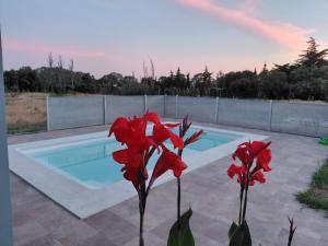 a red flower in front of a swimming pool at Finca Dos Vientos Tarifa in Tarifa +23 photos
