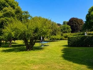 a picnic table in a park with a tree at Apartment Piccolo Borgo in Castelveccana +38 photos