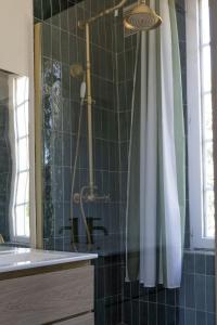 a bathroom with a shower with a shower curtain at Clos de Gauville in Brétigny +39 photos
