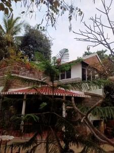 a house with a palm tree in front of it at Charming Stone Cottage in erstwhile grape gardens in Secunderabad