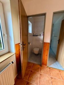 a bathroom with a toilet and a glass door at Chalupa v Beskydech in Trojanovice +17 photos