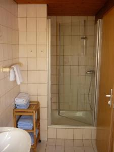 a bathroom with a shower and a sink at Weingut Bernhard in Daisendorf