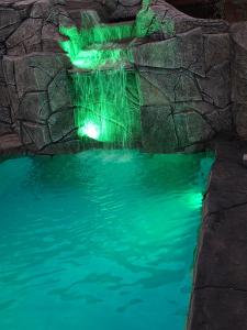 a polar bear swimming in the water at night at Pousada Flor de Pequi in Serra do Cipo +51 photos