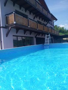 a house with a swimming pool with a ladder in front of it at Pensiunea Casa Vio in Cinciş