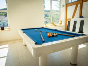 a room with a pool table with balls on it at 280m2 Luxus Loft Atrium-X 60m2 Terrasse in Rorbas