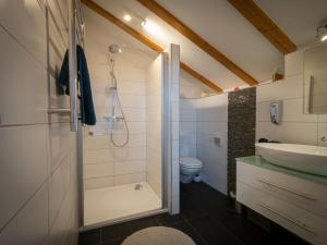 a bathroom with a shower and a toilet and a sink at 280m2 Luxus Loft Atrium-X 60m2 Terrasse in Rorbas +23 photos