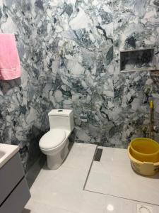 a bathroom with a toilet and a marble wall at Galiyat Peak in Abbottabad
