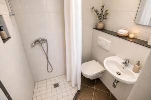 a bathroom with a shower and a toilet and a sink at Villa Illyria in Donji Štoj +30 photos