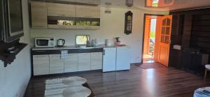 a kitchen with a sink and a microwave at Pas Jolantą in Ignalina