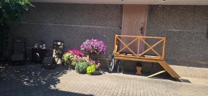 a group of plants and flowers next to a building at Pas Jolantą in Ignalina