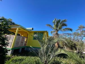a yellow house with a palm tree in front of it at Les Chalets de COCO in Saint-Leu