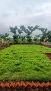a large field of green grass with a tree in the background at Vihanka villa in Tāhārpur