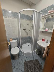 a bathroom with a shower and a toilet and a sink at Hotel Corso T-X in Rokycany +46 photos