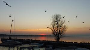 a group of boats docked at a marina at sunset at Affittacamere Porticciolo in Castelnuovo del Garda