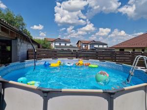 a swimming pool with toys in it in a backyard at CASA ȘINCU in Cristian