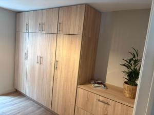 a room with wooden cabinets and a potted plant at Le prélong in Murol