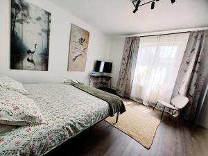 a bedroom with a bed and a window at Weekendowo Miejsce i Czas Agroturystyka in Wyszogród