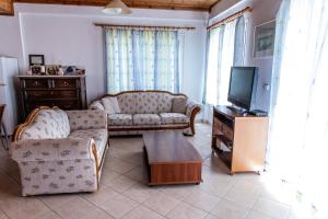 a living room with a couch and a tv at Palmyra Beachfront Studios in Nydri