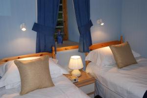 Shegarton Farm Cottages في لاس: غرفة نوم بسريرين ونافذة ذات ستائر زرقاء