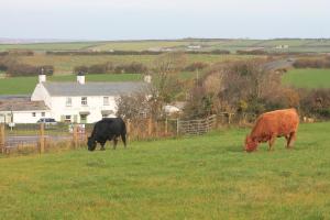 Halfway House Inn