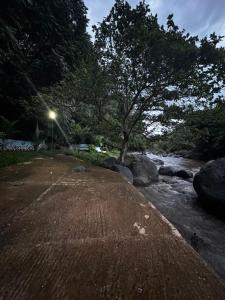 a street light next to a river with a tree at Paki hotels moshi in Msaranga