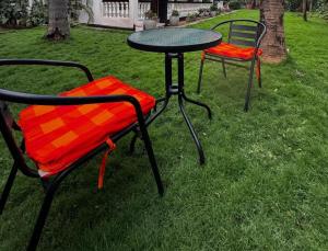 two chairs and a table in the grass at Paki hotels moshi in Msaranga