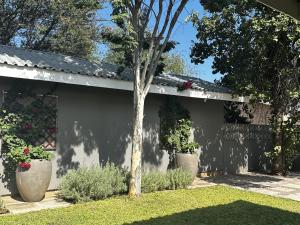 a white house with two large pots of plants at Dessert Rose Guesthouse in Jwaneng