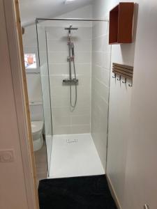 a shower with a glass door in a bathroom at Gîte de Lafeuillade in Montech +9 photos