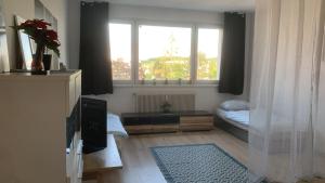 a living room with a bed and a window at 35 Square meter Apartment in Sankt Pölten