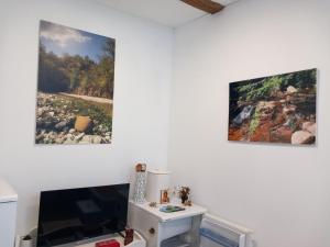 two pieces of art hanging on a white wall at Smestaj kod Sneze in Dojkinci