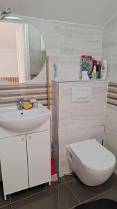 a bathroom with a sink and a toilet and a mirror at Coco free parking in Pržno