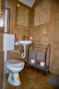 ein Badezimmer mit Toilette und Waschbecken in der Unterkunft Sobe HUBERTUS Lipovac Bajakovo in Lipovac + 20 Fotos