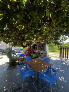 a wooden table and blue chairs under a tree at Eli Apartments in Tale +4 photos