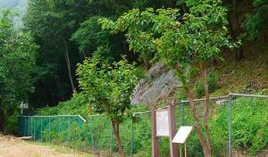 a sign in front of a fence next to trees at Buan Mul Love Pension in Buan