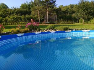 a blue tile swimming pool with a garden at Dom w Chomranicach- Jacuzzi, domek grillowy in Chomranice