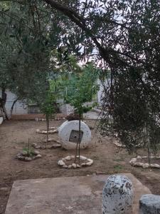 a garden with two trees and a stone structure at Afrodite's Room 1 in Kámbos