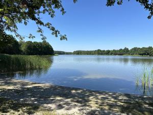 a view of a lake with trees in the background at Domek Pod Świerkami in Wólka