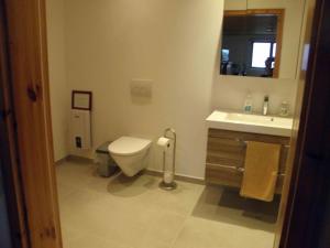 a bathroom with a toilet and a sink and a mirror at Ferienwohnung-Rurseeidyll in Simmerath +22 photos