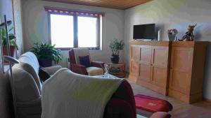 a living room with a couch and a tv at Ferienwohnung-Rurseeidyll in Simmerath