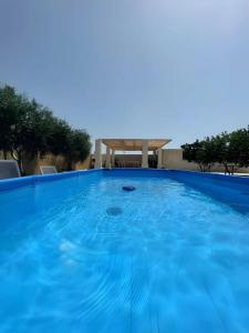a large blue swimming pool with a gazebo at B&B Le Carrube in Sava
