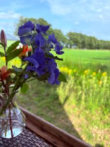 a vase with blue flowers sitting on a table next to a field at Dekema Equestrian Trekkershutjes in Gorredijk