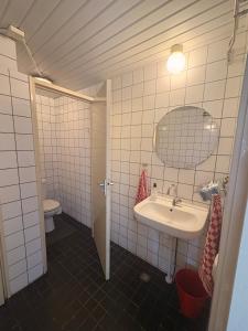 a bathroom with a sink and a mirror and a toilet at Dekema Equestrian Trekkershutjes in Gorredijk +7 photos