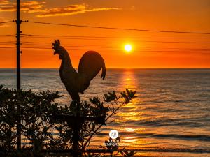 a statue of a chicken on the beach at sunset at Pousada Ondas da Grande - Penha/SC in Penha