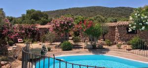 a swimming pool in a garden with pink flowers at Ranch Campo Palombaggia in Porto-Vecchio