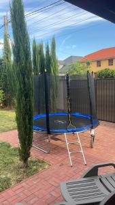a trampoline in a yard next to a tree at Casa Daria Oradea in Oradea