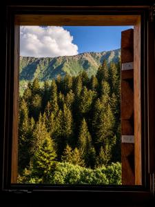 a window with a view of a forest of trees at Casa Vista Adula, Unplug everything, breathe in Anvéuda
