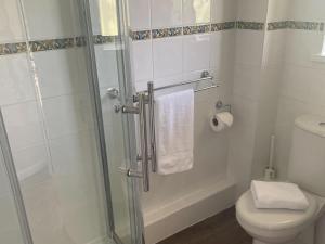 a bathroom with a toilet and a glass shower at Primrose Apartment - Uk49291 in Woolfardisworthy
