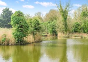 a body of water with ducks in the middle at Faringdon Grange in Faringdon