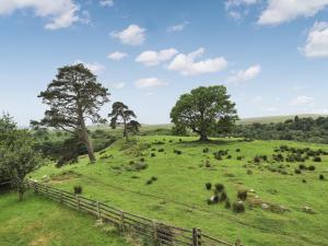 a field of grass with trees and a fence at North Star Apartment - Uk3446 in Greenhaugh