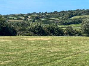 a field with green grass and trees in the background at Sycamore Apartment - Uk49305 in Woolfardisworthy